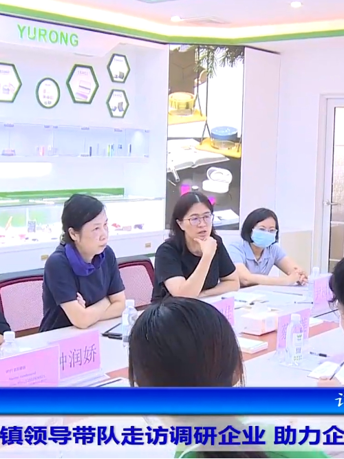 寮步镇党委书记赵智佳走访z6尊龙官网登录入口集团注塑模具加工